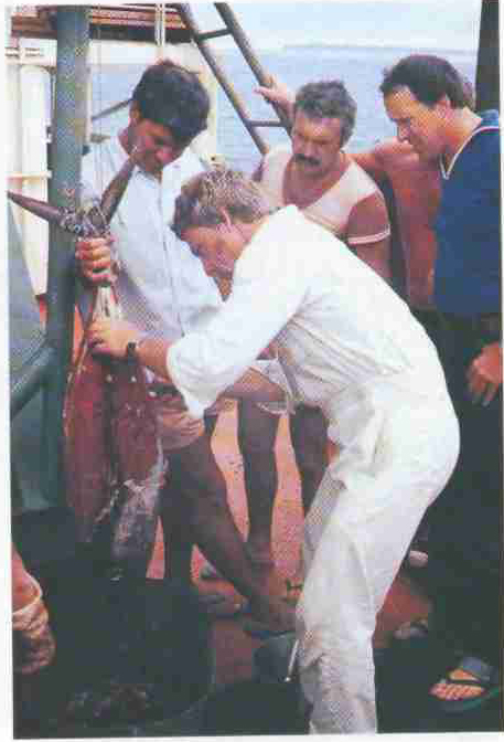 Тунцов в Индийском океане ловят спиннингом с борта — было бы время. 1985 год. 20-ый рейс НИС «Профессор Богоров».