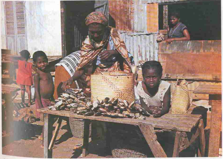 Меланезия (черные острова, темнокожие люди)...», стр. 98