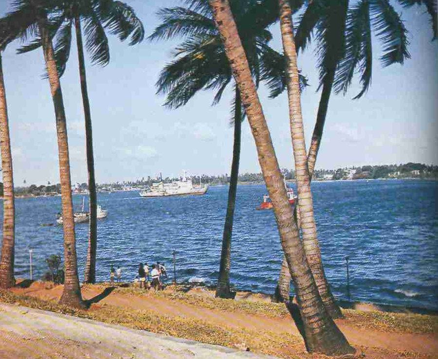 1980 год. Рифы Зап. Самоа.