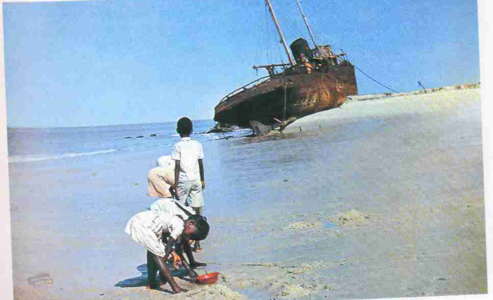 «Отлив. По едва покрытому водой коралловому дну бродят малыши. Что-то собирают...», стр. 116